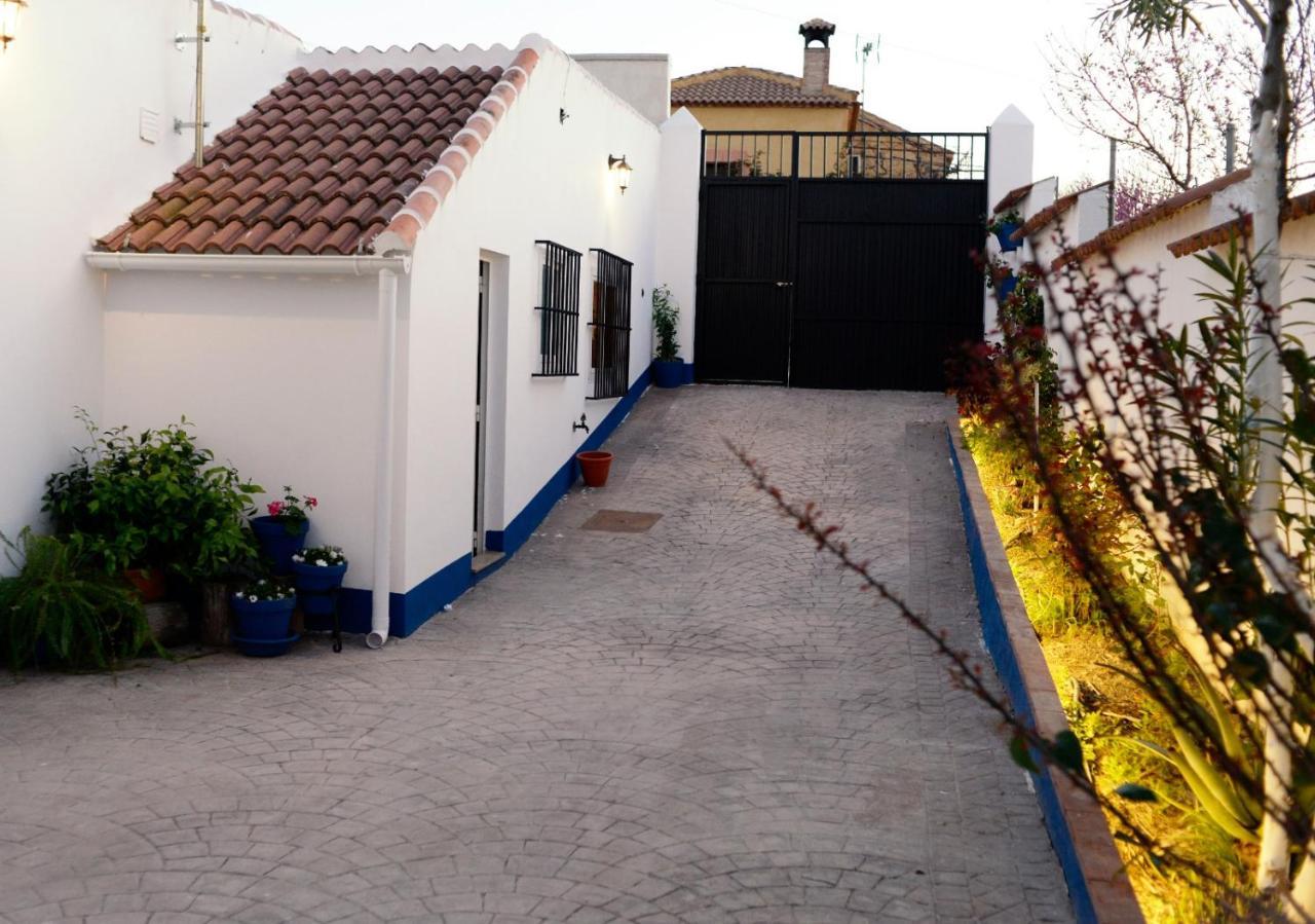 Azul Anil El Patio En Alameda